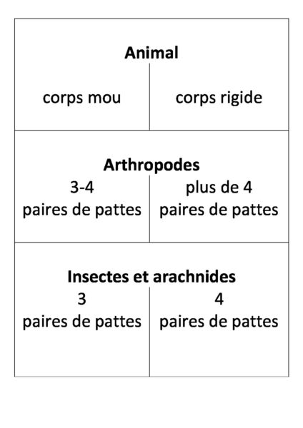 Jeu De Piste Cl De D Termination Postes Docx Draussen Unterrichten