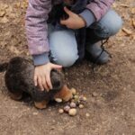 Fressnäpfe für Tiere 2