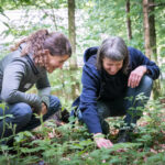 WWF-Workshop_AbInDieNatur–LehrplanorientiertesUnterrichtenDraussen_2019_WEB-40