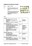 Blattformen_Baeume_abzeichen_benennen