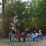 Wald_c_WWF-Zuerich
