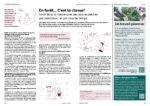 Art-Educateur-En-foret-c-est-la-classe-2020_09