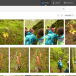Screenshot_SILVIVA-1