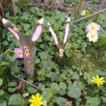 Osterhase_Astgabel