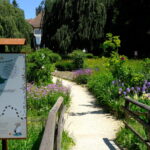 Image_Sentier_Herisson