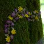 2015 F LANDART 0499 Kl