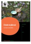 2020_04_dossier_pedagogique_fleurs_comestibles