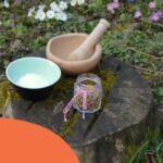 Fleurs_comestibles