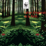 Cahier_forêt