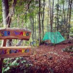 Waldschulzimmer_1_klein