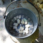 DSC03079