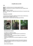Enquête dans la forêt