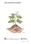 Kartoffelkurs-Projektbeschrieb