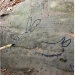 cro-magnon-1