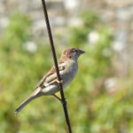 P1060555