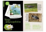 2022-Extraits-livre-Tous-dehors-en-ville-Salamandre