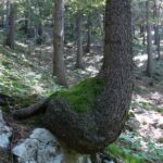 3_Kraft-der-Natur