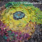 4_Naturkunst_LandArt-1