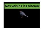 publication