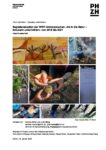 Abschlussbericht_WWF_Ab-in-die-Natur_2018-2021-1