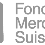 mercator-logo