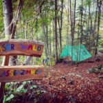 Waldschulzimmer_Gsteigwiler