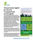 5 Buone Ragioni Per Favorire Insegnamento Aria Aperta
