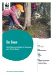 Aktivitätenvorschläge Thema Baum