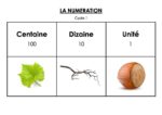 La-numeration-cycle-1