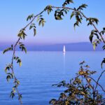 lake-g18291e2eb_1280