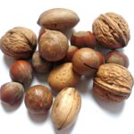 nut-g9bf9db87c_1920