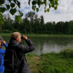 Nachts_bei_den_Bibern_quer_BEARB