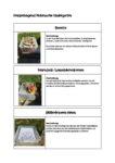 Freispiel-WWF-Woche