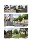 photos_un-ARBRE-dans-la-ville