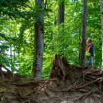 Mädchen_im_Wald_Schulbesuch_c_NikiHuwyler_2026