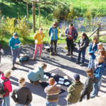 FuerWorkshop_SILVIVA
