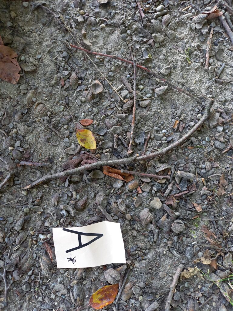 Anpassung In Der Natur 7 Buchstaben
