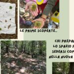 SI_Taverne_Torricella