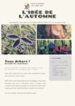 Idee De Lautomne 2021 Par Catherine Giacobino