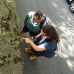 insegnanti studiano il muschio