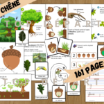pub-facebook-du-gland-au-chene-1