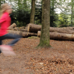 Jeux de mouvement