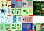 2022-03-dossier-didattico-libro-del-bosco-A3
