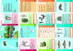 2022-03-dossier-didattico-missione-ruscello-A3