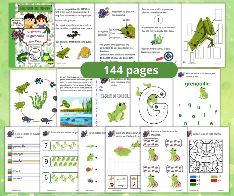 Pub-pack-grenouille-144-pages
