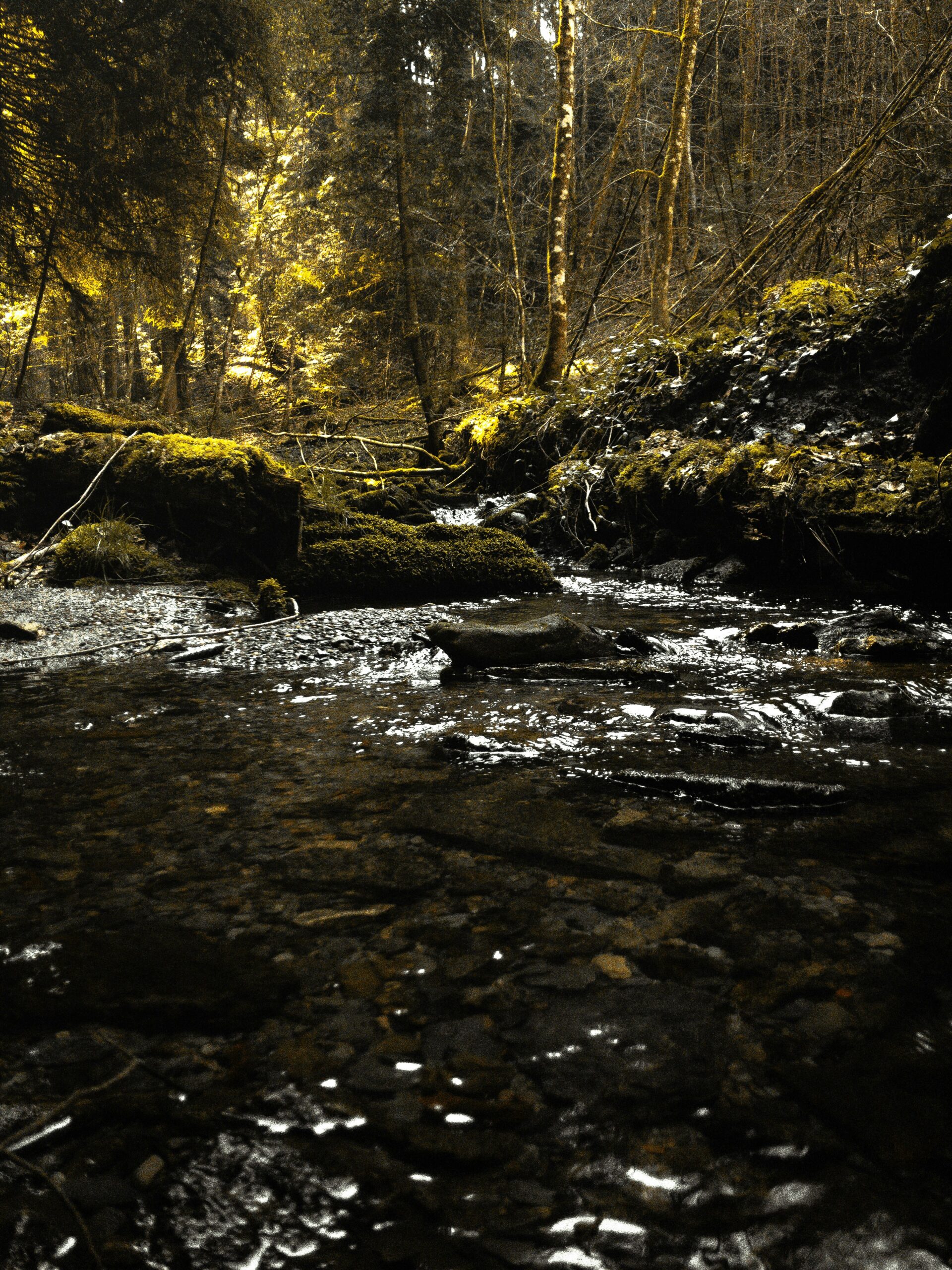 benjamin-merkle-0PAAweSf1v8-unsplash