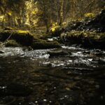 benjamin-merkle-0PAAweSf1v8-unsplash