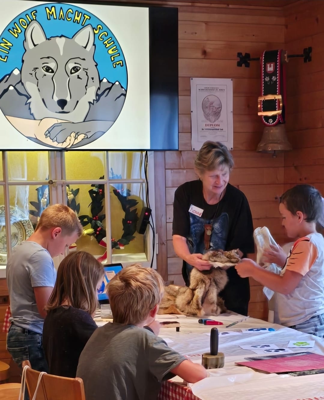 Fell, Wolfschädel und Kot (von Taxidermist) anfassen