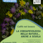 Caffè Nel Bosco 2026