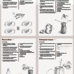 Screenshot 2026-03-30 at 10-21-26 Leporello-Bodenreise.pdf